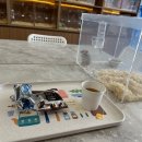 골든햄스터 분양 탬펫 충남아산점 이미지