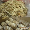 운양초병설유치원 이미지