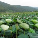삼지수변공원 이미지