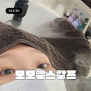 모모엘 | 배곧두피관리 '모모엘 스칼프브로우' 맞춤 두피스케일링