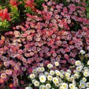 삼산체육관역 이미지