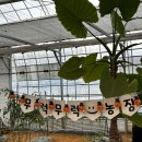 휘서농장 이미지