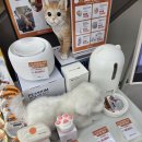 유어펫 일산본점 | LG전자 베스트샵 일산본점 펫존 방문기