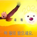 헤어박사 이미지