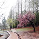 영국마을 이미지