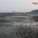 [문항마을]하얀집민박 네이버블로그
