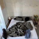 오케이이불 | GATA DOREMI 가타 도레미 이불커버 후기