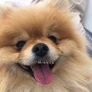 봉곡서로-1 이미지