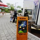 펠리체템포