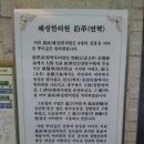 혜성한약방