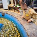 면목동-043 이미지