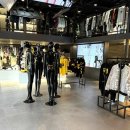 유타/펠트