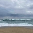 토토의 바다 이미지