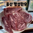 포도울산국가 | 울산 명성한우 태화강국가정원 맛집 인생소고기 맛보고 온 리얼후기