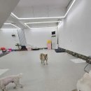 소심유치원 네이버블로그