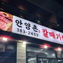 안양 비산동 야장 맛집 "안양촌 갈매기살" 인심 좋은 막창 맛집!