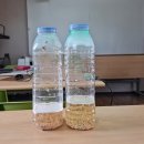 [공지] 🌿7~8월 자연애(愛)맑은숲 애플수박 수확체험&판매