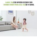 애플코튼