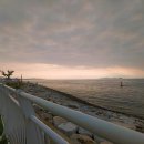 나래애견 이미지