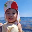 베러플레이스 키즈 풀빌라 네이버블로그