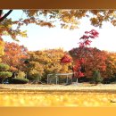 백봉초등학교 이미지