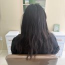 7297 | 주엽 미용실 | 애견동반 가능한 ‘차오룸헤어’ | 손상모 헤어클리닉 리얼 후기