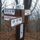 금수산뷔페 이미지