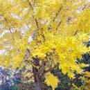 몽양길 | 23.11.01(수)양평 구석구석 가볼만한 곳. 1탄