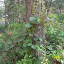 준 농장 이미지