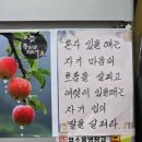 최가네 오복맛집 네이버블로그