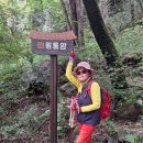 지리산서산대사길 이미지