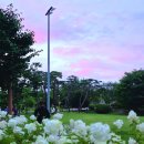 GS25 쌍용공원점 | 천안 산책하기 좋은 성성호수공원과 쌍용공원 우리동네 달빛 건강운동