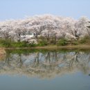 상2리 마을회관 이미지