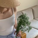 M클린 이미지