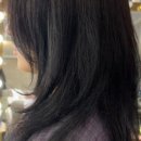 컷트의집 이미지