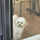 홈타운세탁소 이미지
