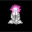 니르바나 Daum카페