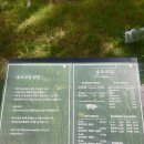 송도교집 | 송도삼겹살 맛집 드디어 찾았다 송도교집 후기