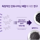 제이뉴스킨