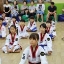 포올 태권도 운동발달 센터 네이버블로그