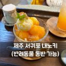 제주자동차공업사 | 제주도 서귀포 애견 동반 카페 내노키카페 제주 신상 카페 수제 푸딩 맛집.