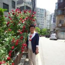 도*환 이미지