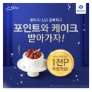 마이카닥터