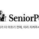 닥터키드니