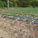 무성농장 이미지