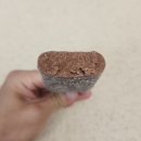 빵빠레 | [아이스크림 추천] 빵빠레 소프트바 초코 솔직 구매 후기!