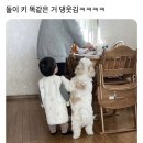 금수저은수저 Daum카페