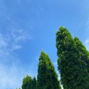 클럽 poc 이미지