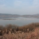 우포늪 자전거 대여소 이미지