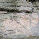 대관령 가축병원 이미지